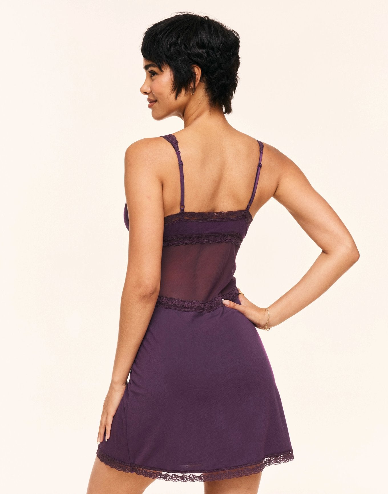 Primrosie Purple